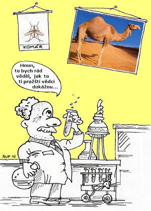 Jak lze snadno ud�lat z kom�ra velblouda...